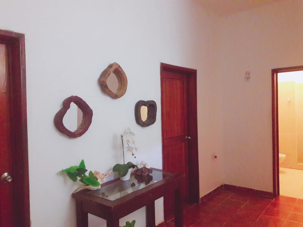Hostel La جزيرة هول بوكس المظهر الخارجي الصورة